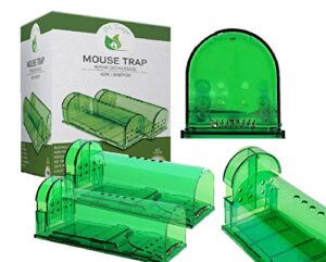 jm traps 2019 new upgraded humane mouse trap, easy to set, reusable, for small rodents,pets hamsters/moles/voles, kids/pet safe