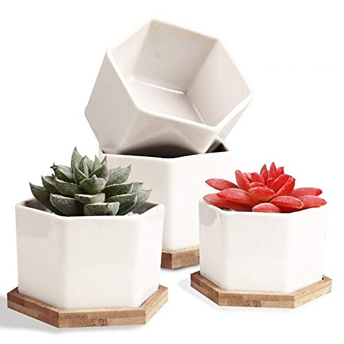 OAMCEG 4 Pack 4 Inch Succulent Plant Pots - Mini Succulent Planters, Set of 4 White Ceramic Succulent Cactus Plant Pots with Bamboo Tray(Plants NOT Included)