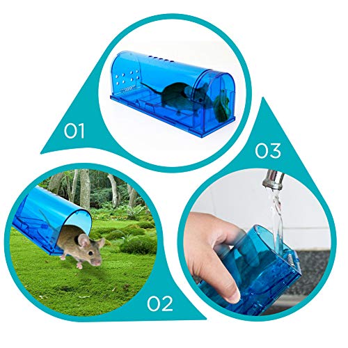 Humane Mouse Trap - Catch and Release Traps That Work - 2 Pack Trap No Kill for mice/Rodent Pet Safe (Dog/Cat) Best Indoor/Outdoor Mousetrap Non Killer Small Mole Capture Cage