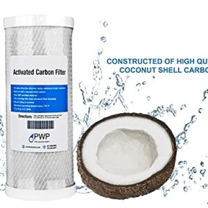 Activated Carbon CTO Water Filter Cartridge Standard 2.5 x10" 20 Micron 2 pack