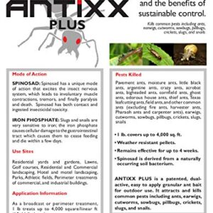 Antixx Plus Ant Earwig Cutworm Sowbugs Pillbug Cricket Slug Snail Killer 5 Pound OMRI Listed