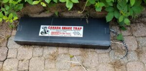 snake trap large, (foldable, reusable 32"x10"x 3") with (1) catch insert, commercial grade, made of strong corrugated plastic in alabama, usa