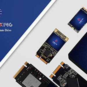 GAMERKING SSD msata 1TB Internal Solid State Drive High Performance Hard Drive for Desktop Laptop SATA3 6Gb/s Mini PC (1TB, MSATA)