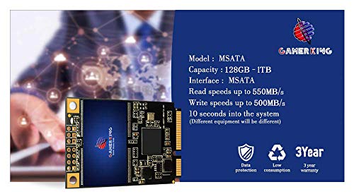 GAMERKING SSD msata 1TB Internal Solid State Drive High Performance Hard Drive for Desktop Laptop SATA3 6Gb/s Mini PC (1TB, MSATA)