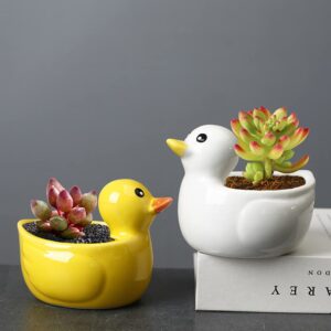 Gemseek Cute Duck Succulent Planter Pot with Drainage Tray, Yellow Ceramic Cactus/Flower Container, Animal Bonsai Holder for Indoor Plants