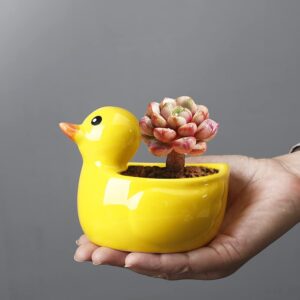 Gemseek Cute Duck Succulent Planter Pot with Drainage Tray, Yellow Ceramic Cactus/Flower Container, Animal Bonsai Holder for Indoor Plants