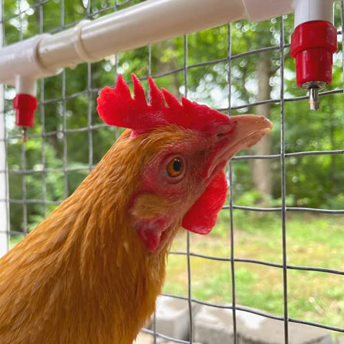 6 Pack Poultry Nipples + PVC Tee Fittings for Automatic Watering System Chicken Duck Quail