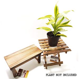 Burned Cedar Wood Bonsai Tree, Flower and Plant Stands Bundle