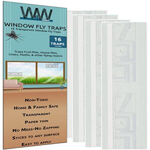 w4w flies & bug window fly trap - indoor / outdoor non toxic clear window fly traps - 16 pack