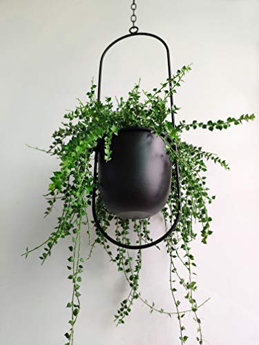 RISEON Boho Black Metal Plant Hanger,Metal Wall and Ceiling Hanging Planter, Modern Planter, Mid Century Flower Pot Plant Holder, Minimalist Planter for Indoor Outdoor Home Decor