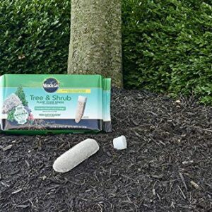 Miracle-GRO Tree & Shrub Fertilizer Spikes, 5 Pack