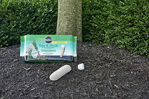 Miracle-GRO Tree & Shrub Fertilizer Spikes, 5 Pack