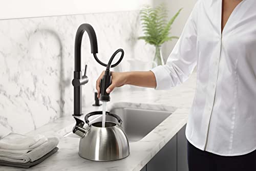 Kohler R22153-SD-BL Rune Single Handle Kitchen Faucet with Pull Down Sprayer and Soap Dispenser, Matte Black