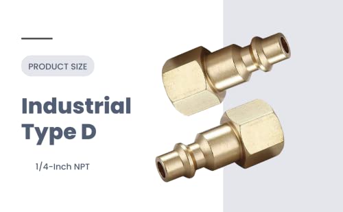 T TANYA HARDWARE Air Hose Fittings And Quick Connect Air Fittings, 1/4 Inch NPT Brass Female Air Coupler Plug (10 Piece) Industrial Type D, Air Compressor Fittings