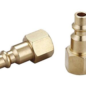 T TANYA HARDWARE Air Hose Fittings And Quick Connect Air Fittings, 1/4 Inch NPT Brass Female Air Coupler Plug (10 Piece) Industrial Type D, Air Compressor Fittings