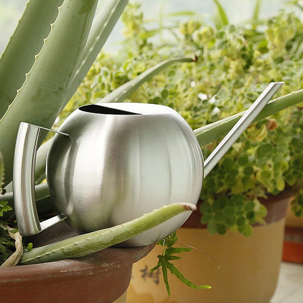 Fdit Long Spout Watering can for Indoor Plants Bonsai (1.0L)