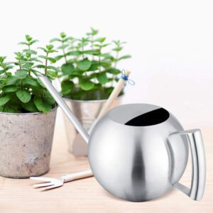 Fdit Long Spout Watering can for Indoor Plants Bonsai (1.0L)