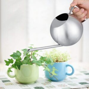 Fdit Long Spout Watering can for Indoor Plants Bonsai (1.0L)