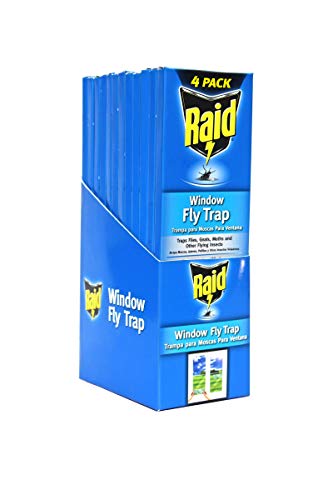 Raid Window Fly Trap, 4ct (Pack of 4)