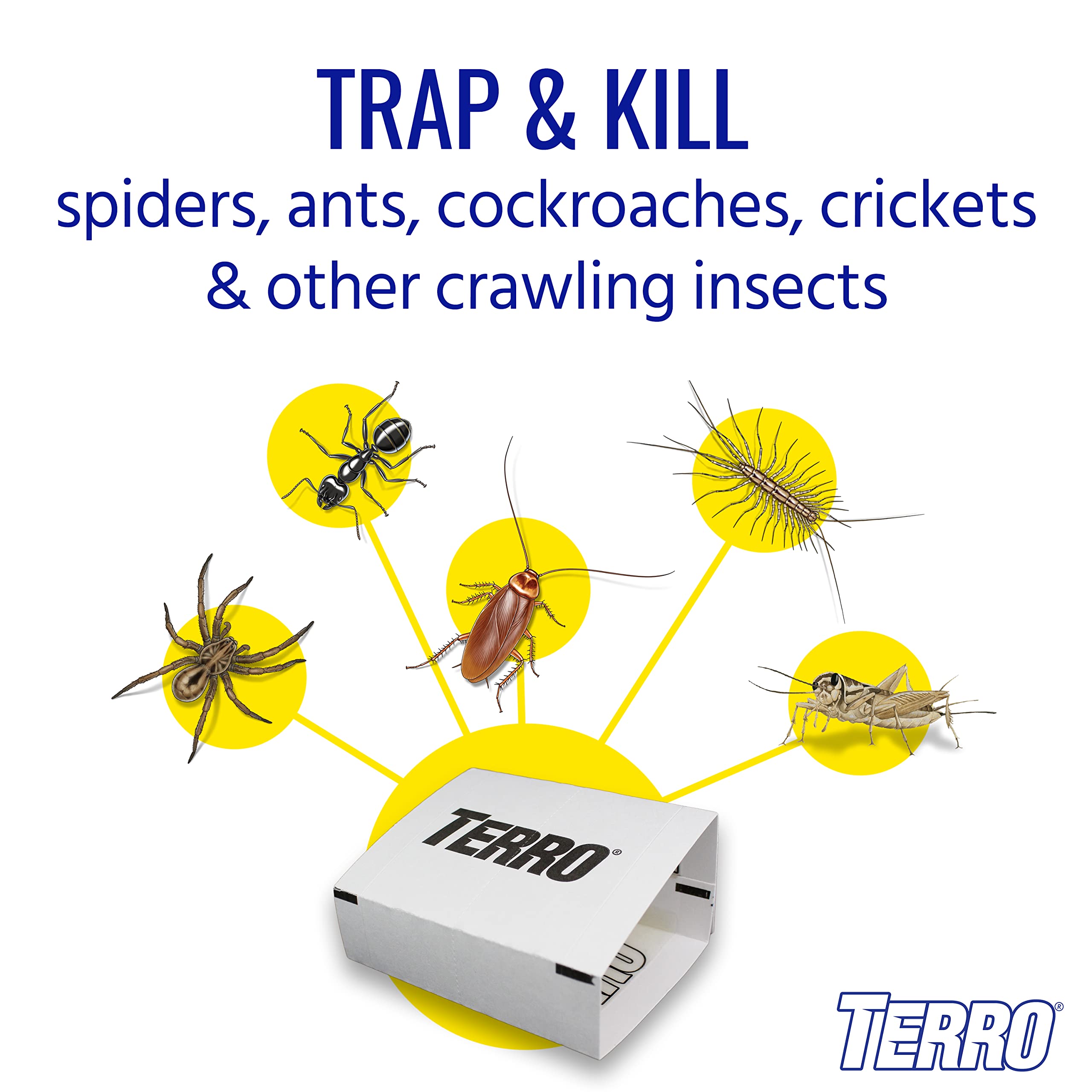 TERRO T3206SR Non-Toxic Indoor Spider, Ant, Cockroach, Centipede, and Crawling Insect Trap - 12 Traps