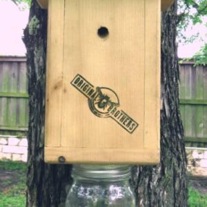 Original B Brothers-Carpenter Bee Trap
