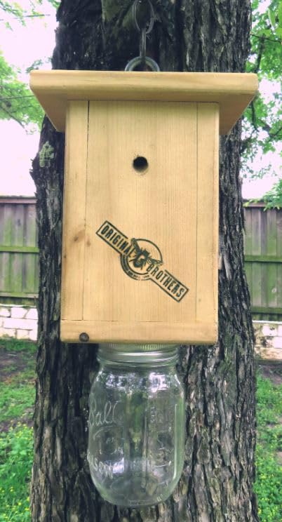 Original B Brothers-Carpenter Bee Trap