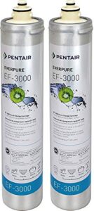 everpure ev985750 ef-3000 replacement cartridge for full flow drinking system (pack of 2)