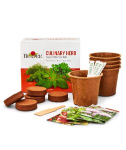 burpee culinary garden starter kit packets, 5 pots, 5 coir pellets & 5 plant markers non-gmo herb seeds: cilantro, dill, parsley, sweet basil & chives