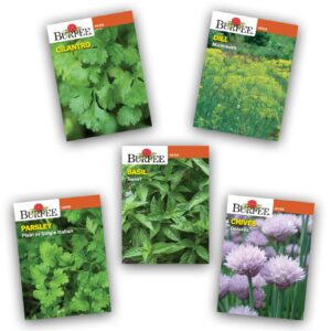 Burpee Culinary Garden Starter Kit Packets, 5 Pots, 5 Coir Pellets & 5 Plant Markers Non-GMO Herb Seeds: Cilantro, Dill, Parsley, Sweet Basil & Chives