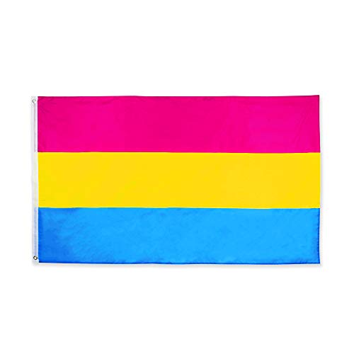 FLAGLINK Pansexual Flag 3x5Fts - Pansexuality Omnisexuality Pride Banner