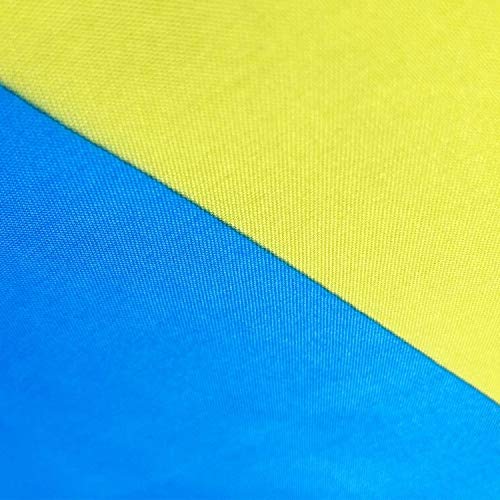 FLAGLINK Pansexual Flag 3x5Fts - Pansexuality Omnisexuality Pride Banner