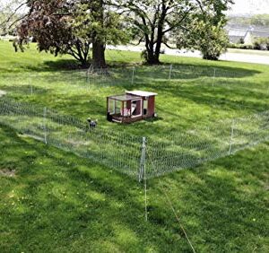 RentACoop Poultry Netting Electric Fence - Electric Poultry Enclosure for Chickens, Ducks, Turkeys - Suitable for 4 Week Old Chickens/Older and Adult Poultry - Energizer Not Included - 168' L x 48" H