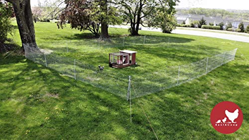 RentACoop Poultry Netting Electric Fence - Electric Poultry Enclosure for Chickens, Ducks, Turkeys - Suitable for 4 Week Old Chickens/Older and Adult Poultry - Energizer Not Included - 168' L x 48" H