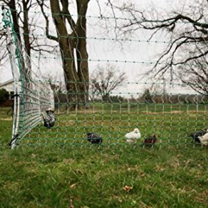 RentACoop Poultry Netting Electric Fence - Electric Poultry Enclosure for Chickens, Ducks, Turkeys - Suitable for 4 Week Old Chickens/Older and Adult Poultry - Energizer Not Included - 168' L x 48" H