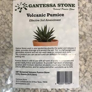 Gardening Pumice Soil Amendment | 3/8" Screened | 8 Quarts