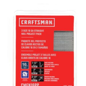 CRAFTSMAN Finish Nails, 16GA Straight Project Pack (CMFN16PP)
