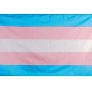 Flaglink Transgender Pride Flag 3x5 Fts - Trans Rainbow Banner