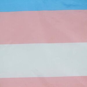 Flaglink Transgender Pride Flag 3x5 Fts - Trans Rainbow Banner