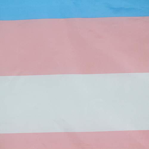 Flaglink Transgender Pride Flag 3x5 Fts - Trans Rainbow Banner