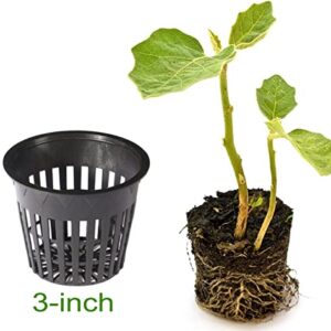 HORTIPOTS 3 Inch Net Pot Wide Lip Design Mesh Cup with Reflective Net Cup Lids (32 Set)-Not Real 3 inch When You Measure it.