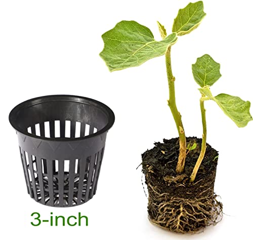 HORTIPOTS 3 Inch Net Pot Wide Lip Design Mesh Cup with Reflective Net Cup Lids (32 Set)-Not Real 3 inch When You Measure it.