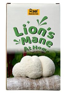 lion's mane grow kit (one kit), 3.2 pound log
