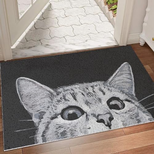 MR FANTASY Cat Door Mat Outdoor Entrance, Durable Welcome Mat, Mud Absorbent Doormat, Indoor Outdoor, Low-Profile Floor Mats, Front Door Mat for Entry, Patio, High Traffic Areas,17x29