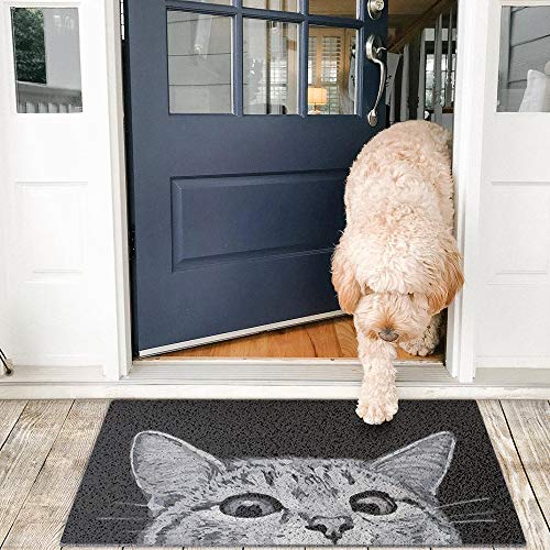 MR FANTASY Cat Door Mat Outdoor Entrance, Durable Welcome Mat, Mud Absorbent Doormat, Indoor Outdoor, Low-Profile Floor Mats, Front Door Mat for Entry, Patio, High Traffic Areas,17x29