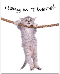 hang in there - motivational quote encouragement poster, inspirational art animal print for home decor office decor, cute gift idea for cat lovers, 11x14 unframed art print poster