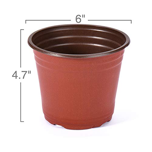 Delxo 50 Pcs 6 Inch Plants Nursery Pots Reusable Plant Seeding Nursery Pot Waterproof Plastic Pots Seed Starting Pots