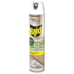 Raid Ant and Roach Killer 11 Ounce (Pack of 3)