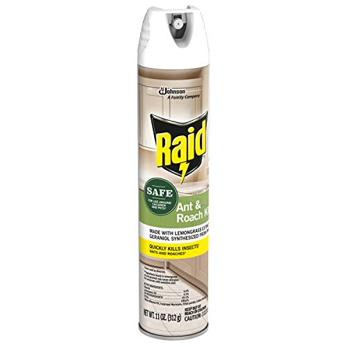 Raid Ant and Roach Killer 11 Ounce (Pack of 3)