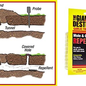 The Giant Destroyer Garlic Tunnel Tubes Repels Moles, Gophers, Skunks and Other Burrowing Rodents in Yards, Gardens & Lawn Areas, 10-12 Months, Highly Concentrated Garlic Oil (120 Tubes)