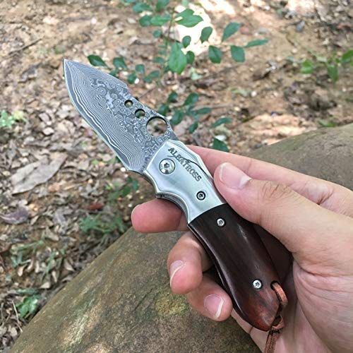 ALBATROSS Pocket Knife Cote D'Ivoire Sandalwood 6.22" Damascus Steel Knife Liner Lock Folding Knife - HGDK007